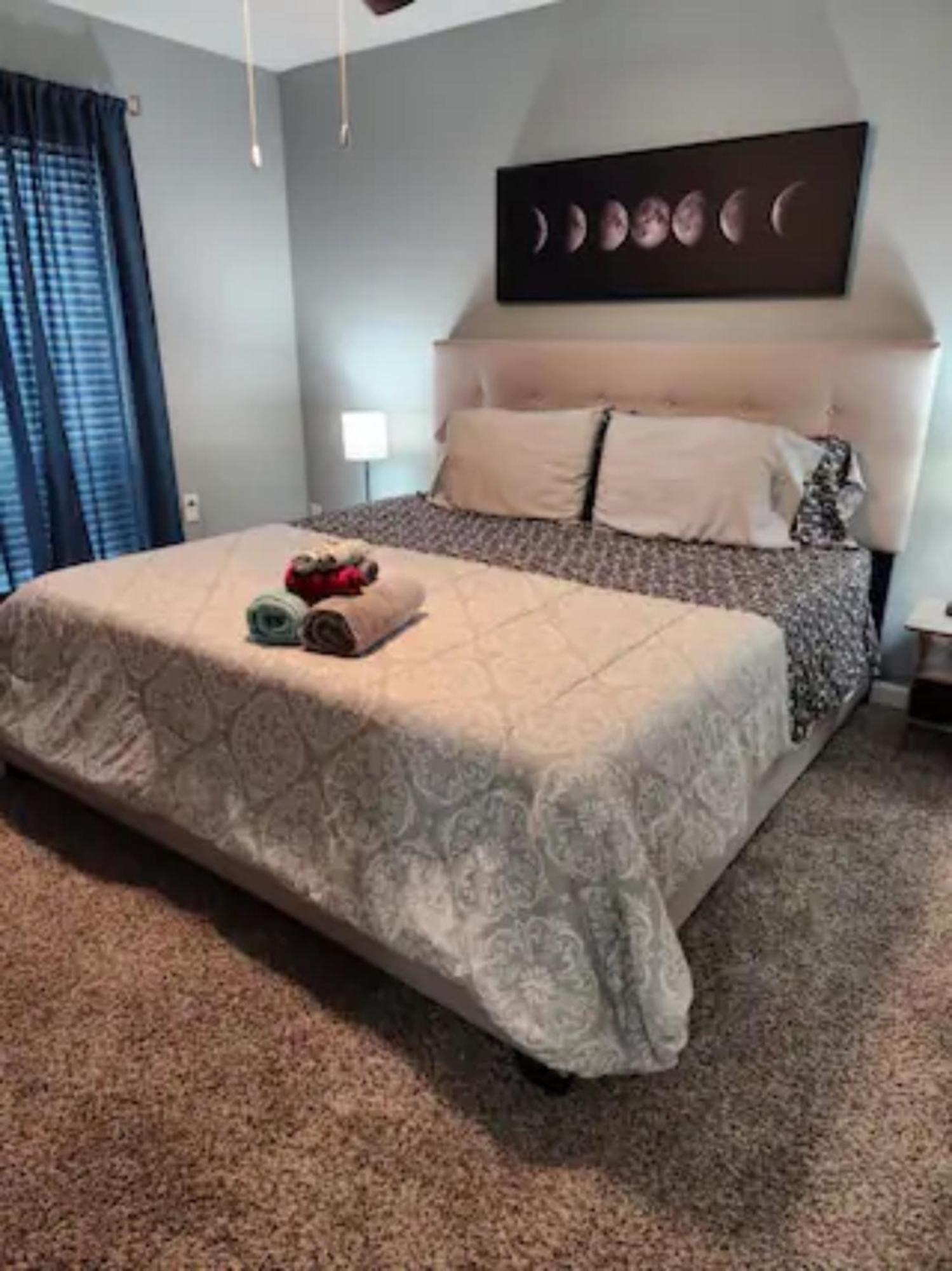 Blue Shark *B501* @ Medical Center 1Br Modern King Apartment With Private Patio Houston Exterior foto